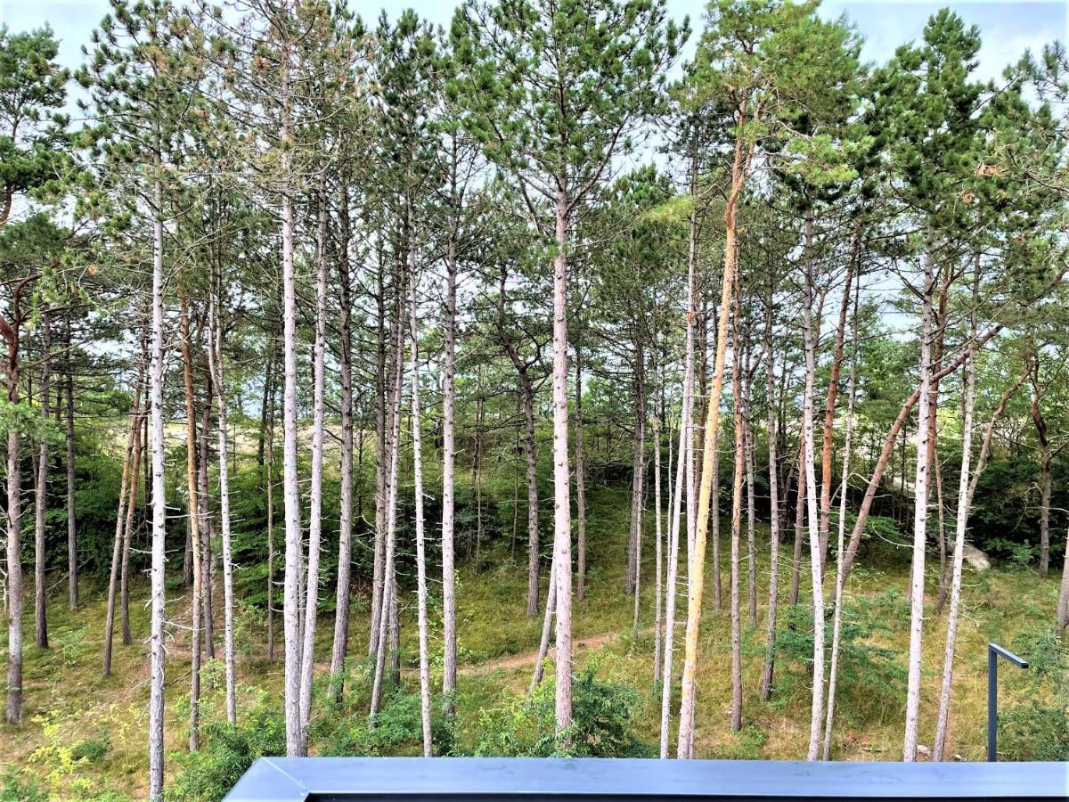 Apartamentyrogowo Com Apartment